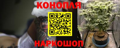 гидра Жуковский