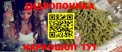 гидра Жуковский