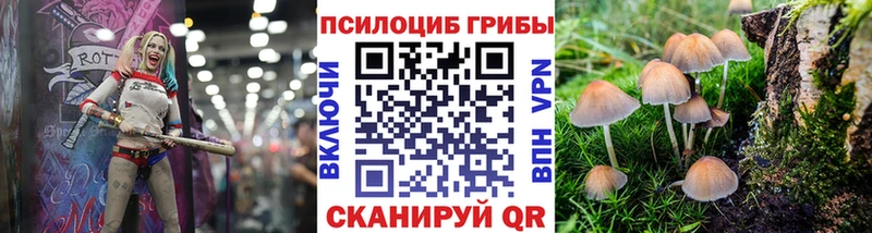 мориарти состав Сафоново Псилоцибиновые грибы MAGIC MUSHROOMS