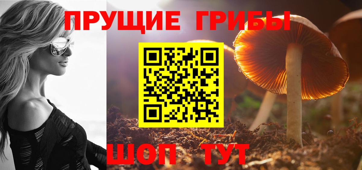 Галлюциногенные грибы MAGIC MUSHROOMS  Псилоцибиновые грибы Cubensis  Сафоново  Вход с VPN 