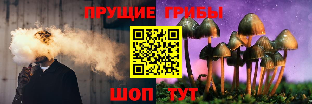 Галлюциногенные грибы мицелий Сафоново